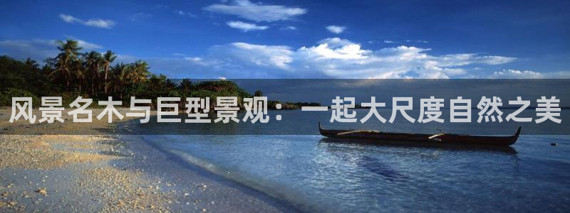 新宝gg 网址:风景名木与巨型景观:一起大尺度自然之美
