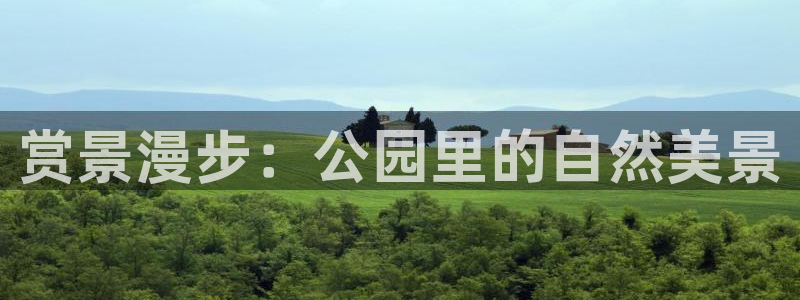 新宝gg注册新宝GG注册登录:赏景漫步:公园里的自然美景
