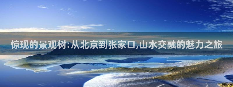 新宝gg评论:惊现的景观树:从北京到张家口,山水交融的魅力之旅