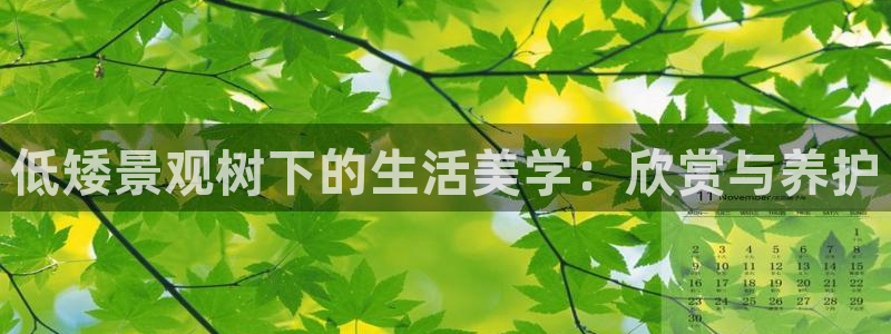 新宝gg娱乐官网:低矮景观树下的生活美学:欣赏与养护